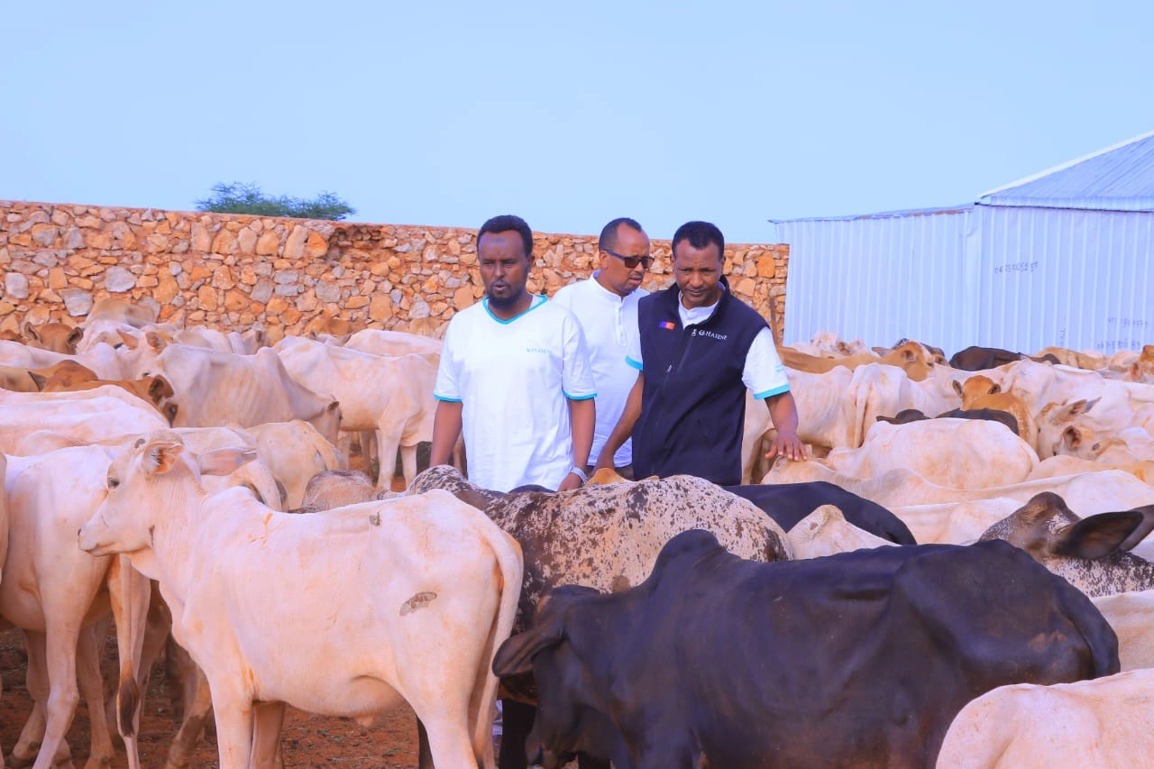 Qurban images Image 18
